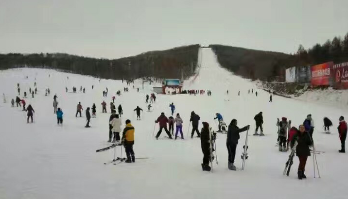 Harbin City Snow Skiing Day Tour